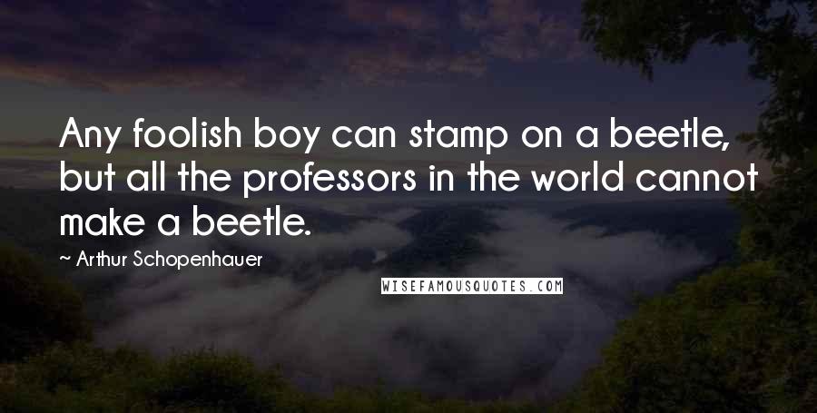 Arthur Schopenhauer Quotes: Any foolish boy can stamp on a beetle, but all the professors in the world cannot make a beetle.