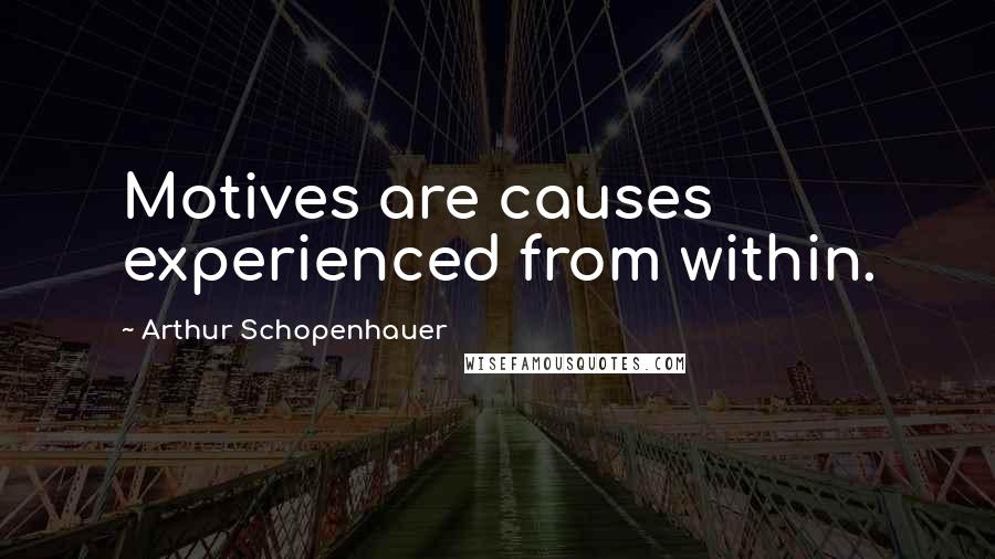 Arthur Schopenhauer Quotes: Motives are causes experienced from within.