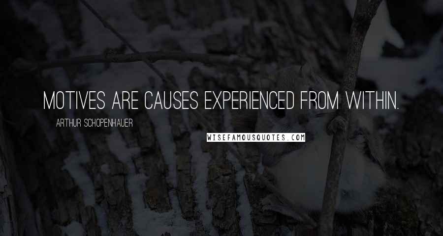 Arthur Schopenhauer Quotes: Motives are causes experienced from within.