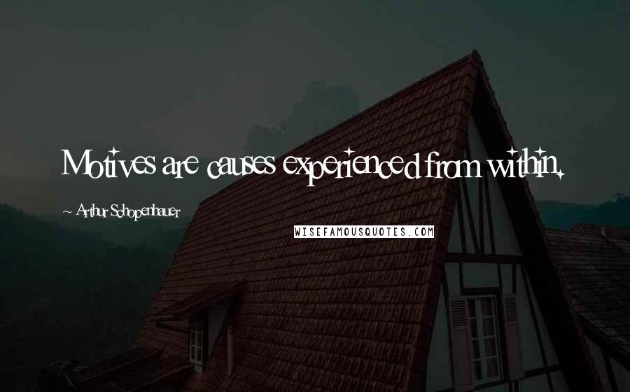 Arthur Schopenhauer Quotes: Motives are causes experienced from within.