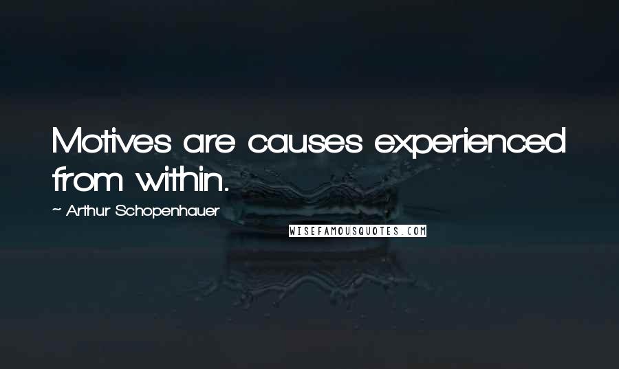 Arthur Schopenhauer Quotes: Motives are causes experienced from within.