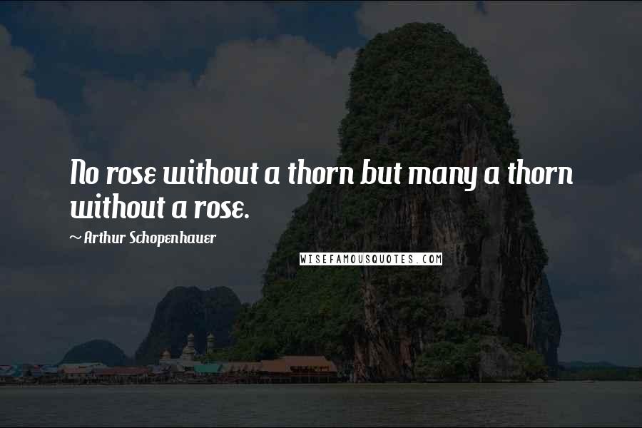 Arthur Schopenhauer Quotes: No rose without a thorn but many a thorn without a rose.