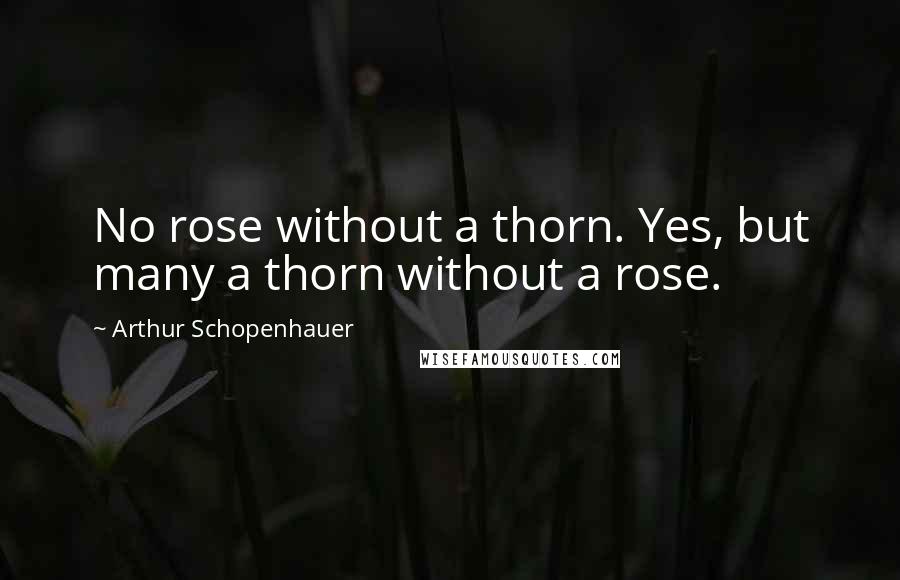 Arthur Schopenhauer Quotes: No rose without a thorn. Yes, but many a thorn without a rose.