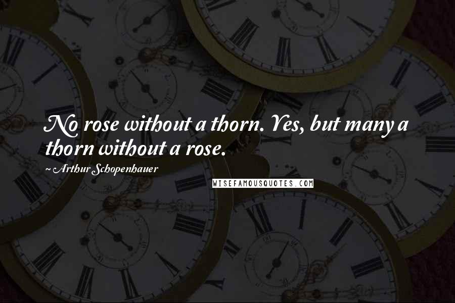 Arthur Schopenhauer Quotes: No rose without a thorn. Yes, but many a thorn without a rose.