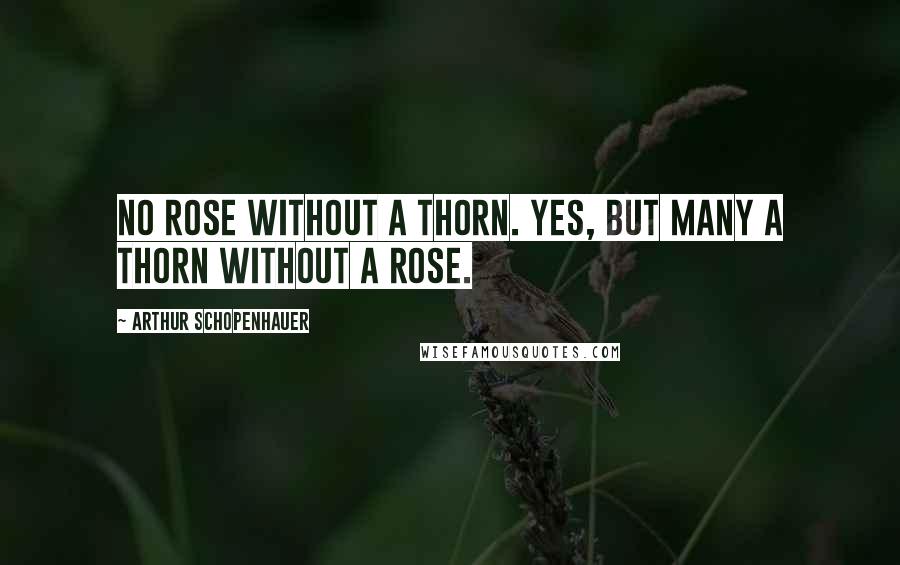 Arthur Schopenhauer Quotes: No rose without a thorn. Yes, but many a thorn without a rose.