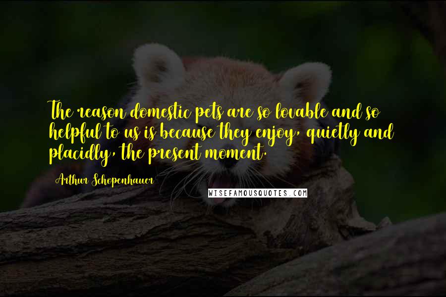 Arthur Schopenhauer Quotes: The reason domestic pets are so lovable and so helpful to us is because they enjoy, quietly and placidly, the present moment.