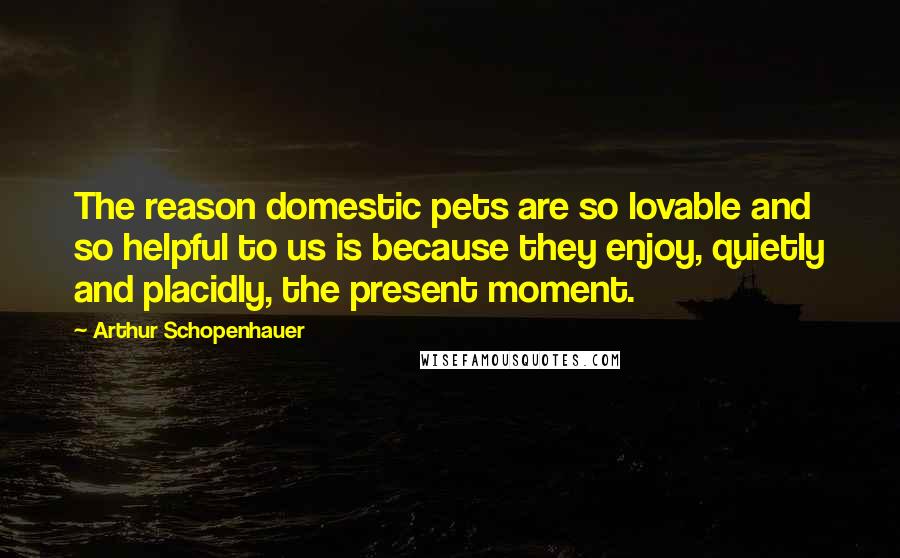 Arthur Schopenhauer Quotes: The reason domestic pets are so lovable and so helpful to us is because they enjoy, quietly and placidly, the present moment.