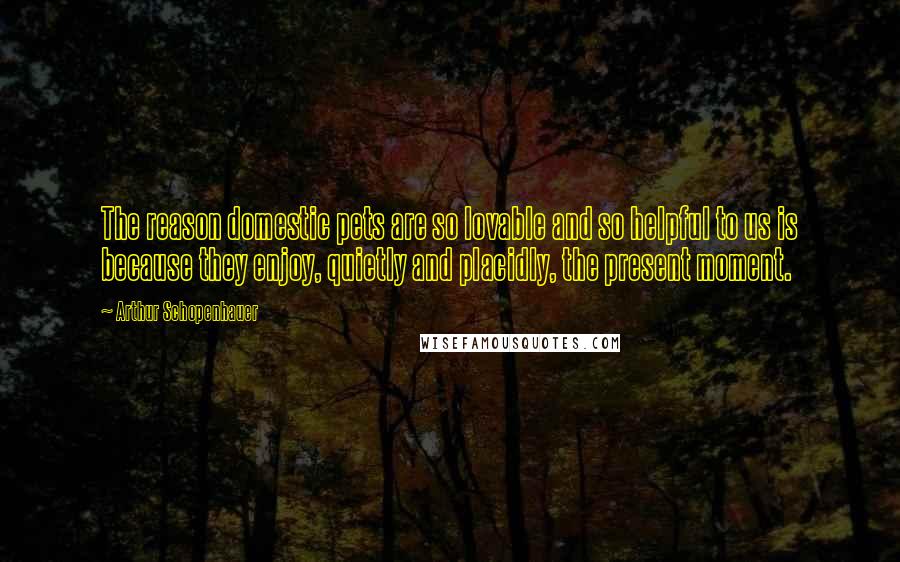 Arthur Schopenhauer Quotes: The reason domestic pets are so lovable and so helpful to us is because they enjoy, quietly and placidly, the present moment.