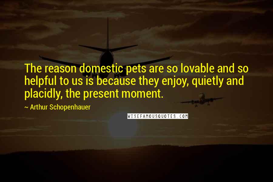 Arthur Schopenhauer Quotes: The reason domestic pets are so lovable and so helpful to us is because they enjoy, quietly and placidly, the present moment.