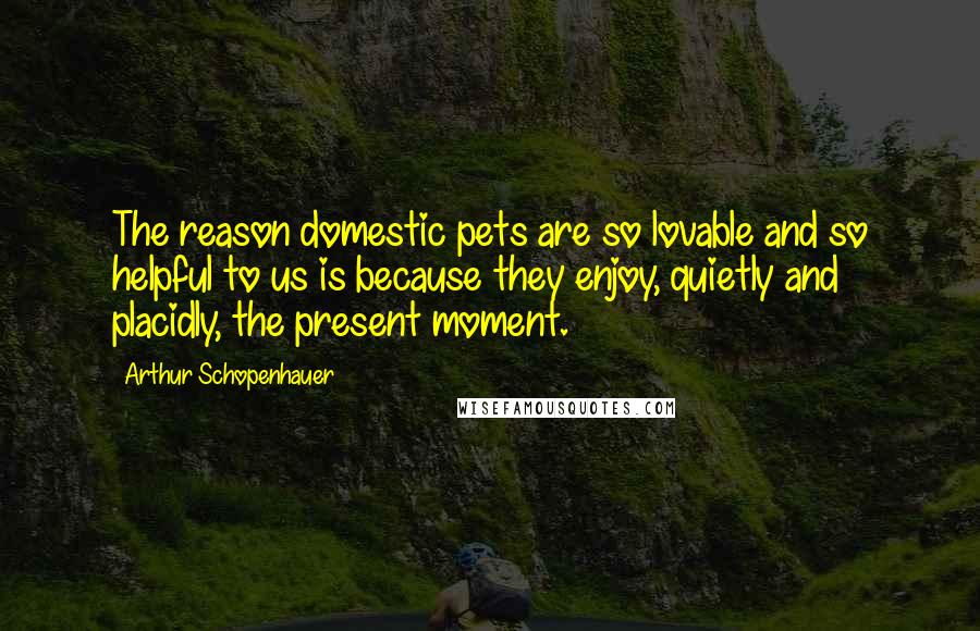 Arthur Schopenhauer Quotes: The reason domestic pets are so lovable and so helpful to us is because they enjoy, quietly and placidly, the present moment.