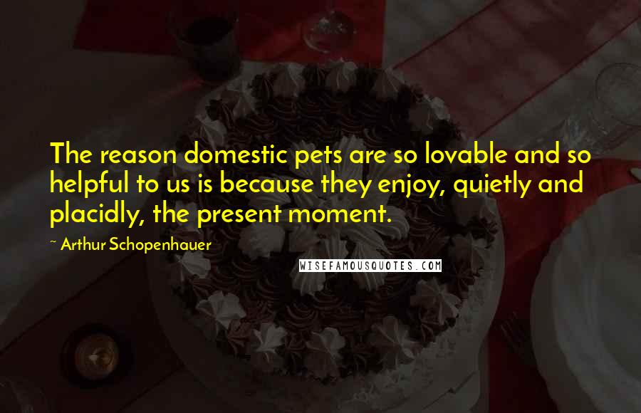 Arthur Schopenhauer Quotes: The reason domestic pets are so lovable and so helpful to us is because they enjoy, quietly and placidly, the present moment.