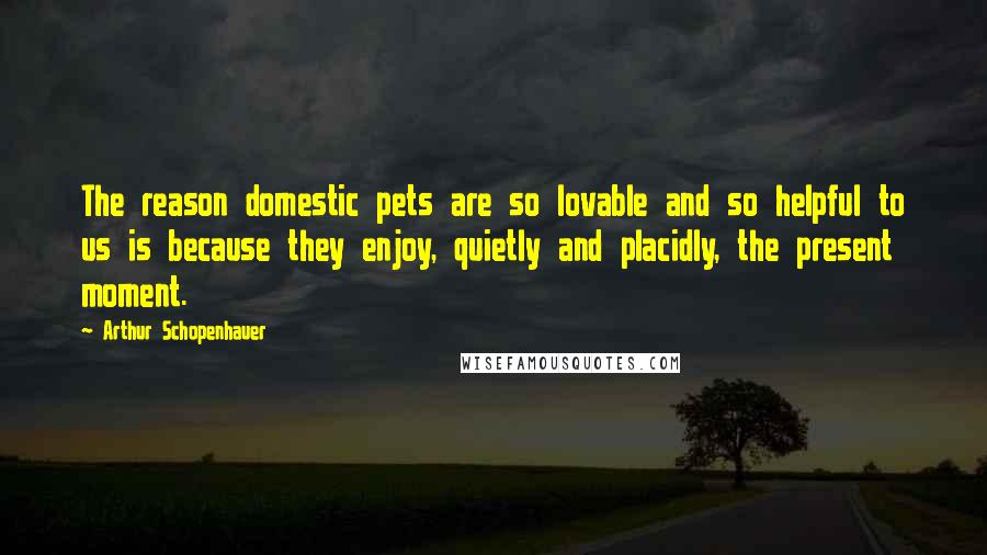 Arthur Schopenhauer Quotes: The reason domestic pets are so lovable and so helpful to us is because they enjoy, quietly and placidly, the present moment.