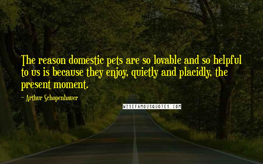 Arthur Schopenhauer Quotes: The reason domestic pets are so lovable and so helpful to us is because they enjoy, quietly and placidly, the present moment.