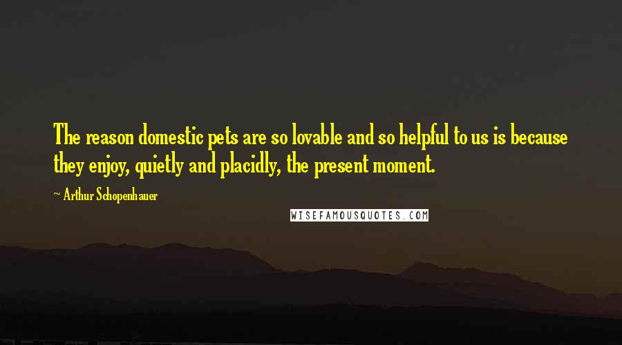 Arthur Schopenhauer Quotes: The reason domestic pets are so lovable and so helpful to us is because they enjoy, quietly and placidly, the present moment.