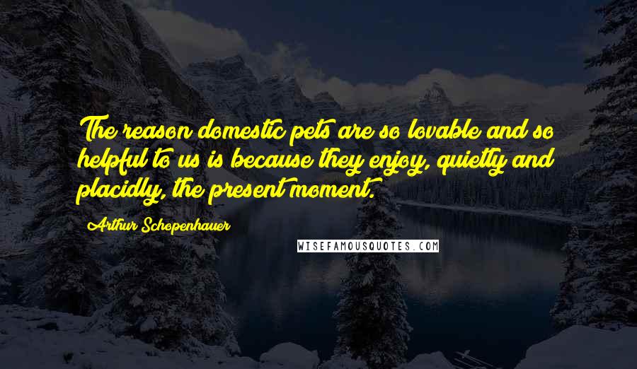 Arthur Schopenhauer Quotes: The reason domestic pets are so lovable and so helpful to us is because they enjoy, quietly and placidly, the present moment.