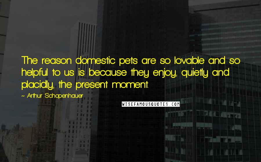 Arthur Schopenhauer Quotes: The reason domestic pets are so lovable and so helpful to us is because they enjoy, quietly and placidly, the present moment.