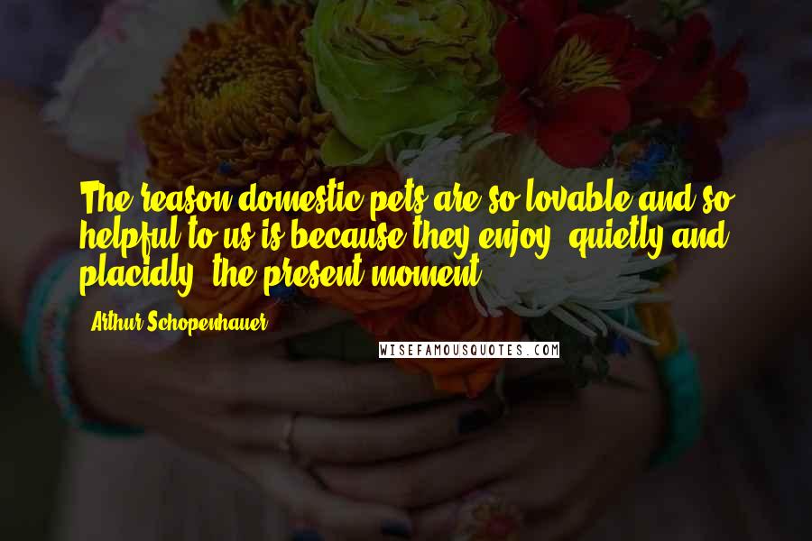 Arthur Schopenhauer Quotes: The reason domestic pets are so lovable and so helpful to us is because they enjoy, quietly and placidly, the present moment.