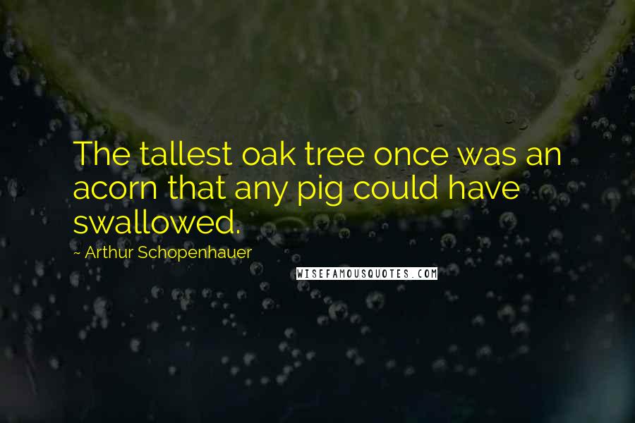 Arthur Schopenhauer Quotes: The tallest oak tree once was an acorn that any pig could have swallowed.