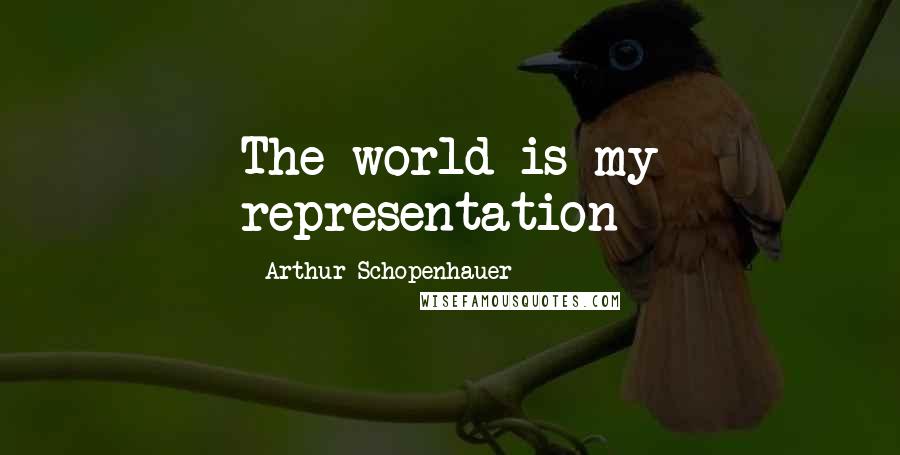 Arthur Schopenhauer Quotes: The world is my representation