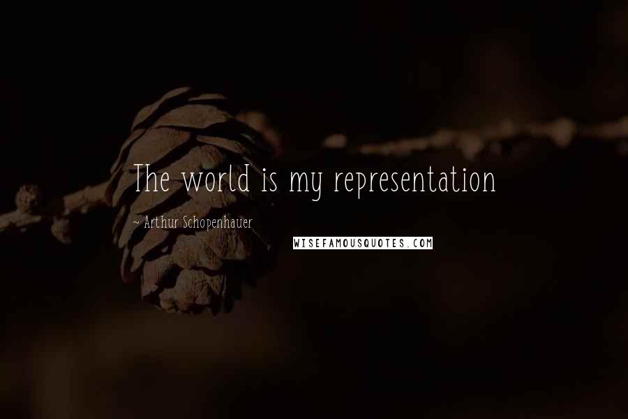 Arthur Schopenhauer Quotes: The world is my representation