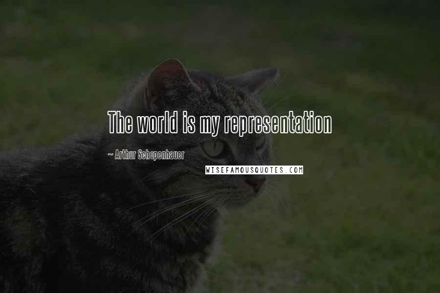 Arthur Schopenhauer Quotes: The world is my representation