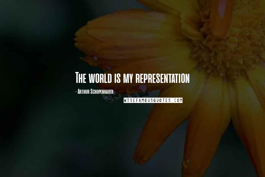 Arthur Schopenhauer Quotes: The world is my representation