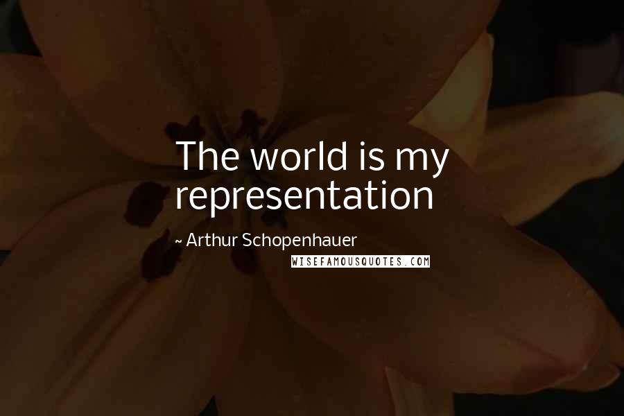 Arthur Schopenhauer Quotes: The world is my representation