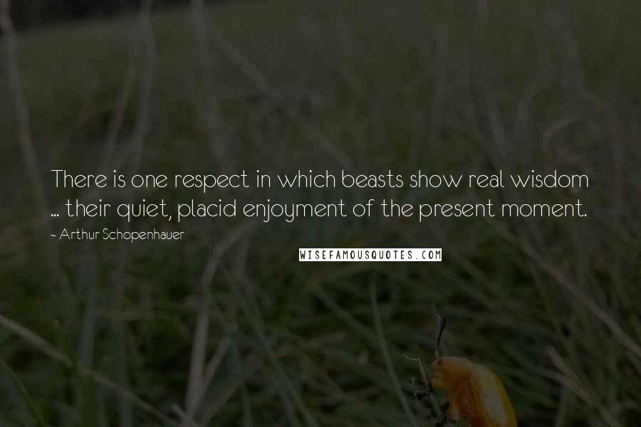 Arthur Schopenhauer Quotes: There is one respect in which beasts show real wisdom ... their quiet, placid enjoyment of the present moment.