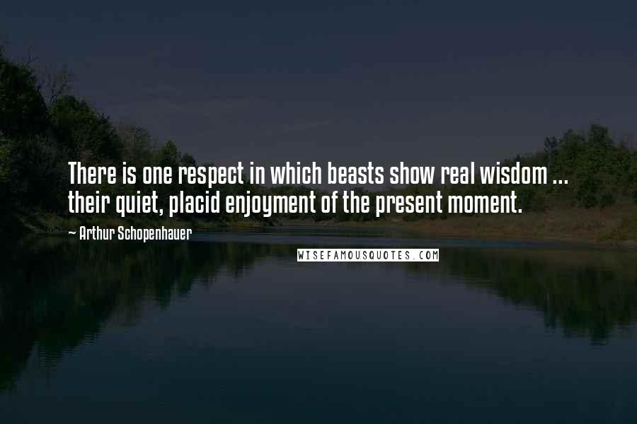 Arthur Schopenhauer Quotes: There is one respect in which beasts show real wisdom ... their quiet, placid enjoyment of the present moment.