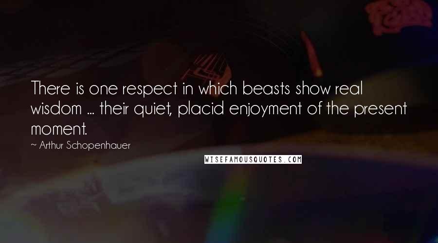 Arthur Schopenhauer Quotes: There is one respect in which beasts show real wisdom ... their quiet, placid enjoyment of the present moment.