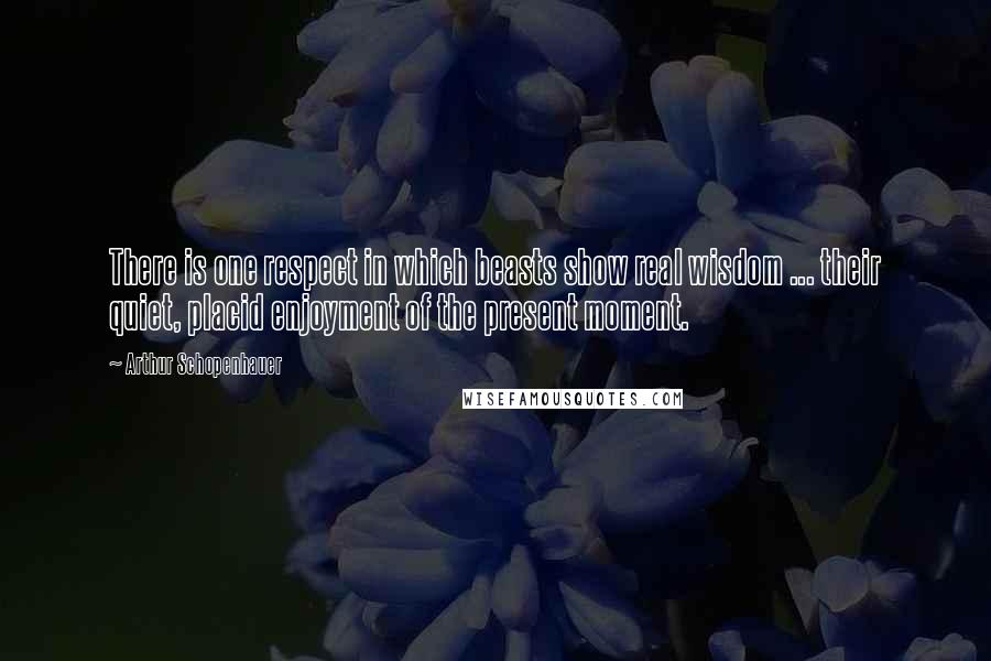 Arthur Schopenhauer Quotes: There is one respect in which beasts show real wisdom ... their quiet, placid enjoyment of the present moment.