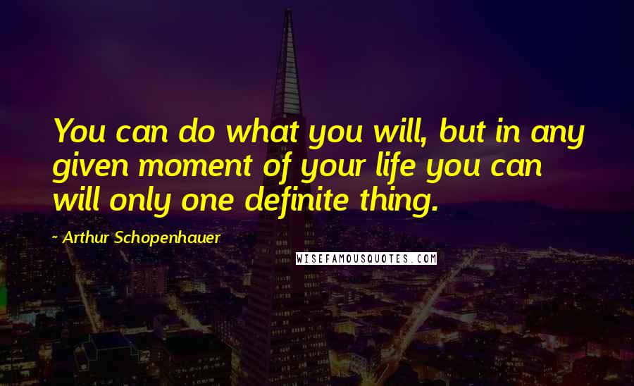 Arthur Schopenhauer Quotes: You can do what you will, but in any given moment of your life you can will only one definite thing.