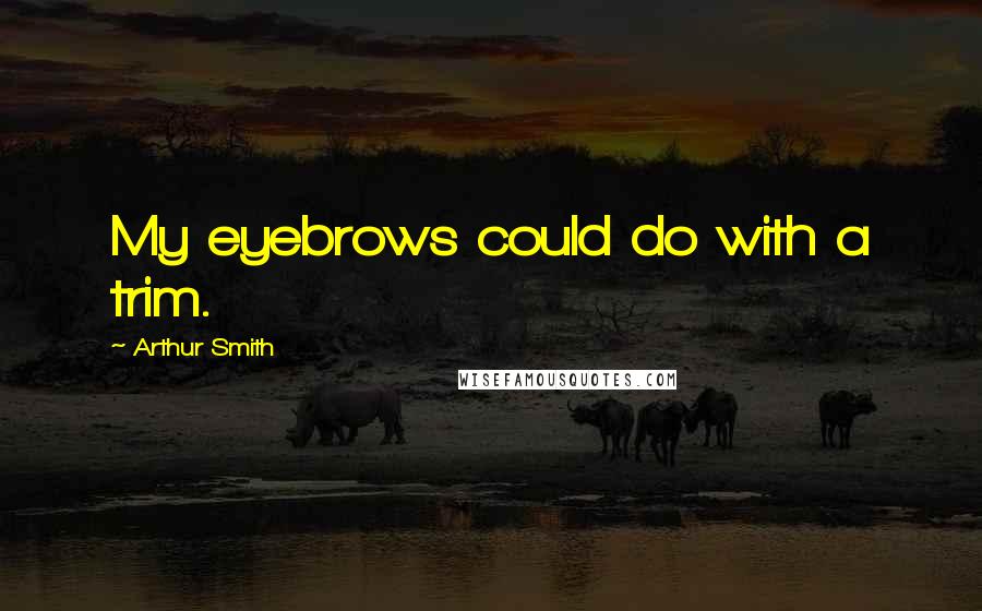 Arthur Smith Quotes: My eyebrows could do with a trim.