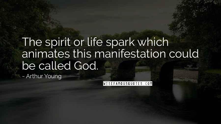 Arthur Young Quotes: The spirit or life spark which animates this manifestation could be called God.