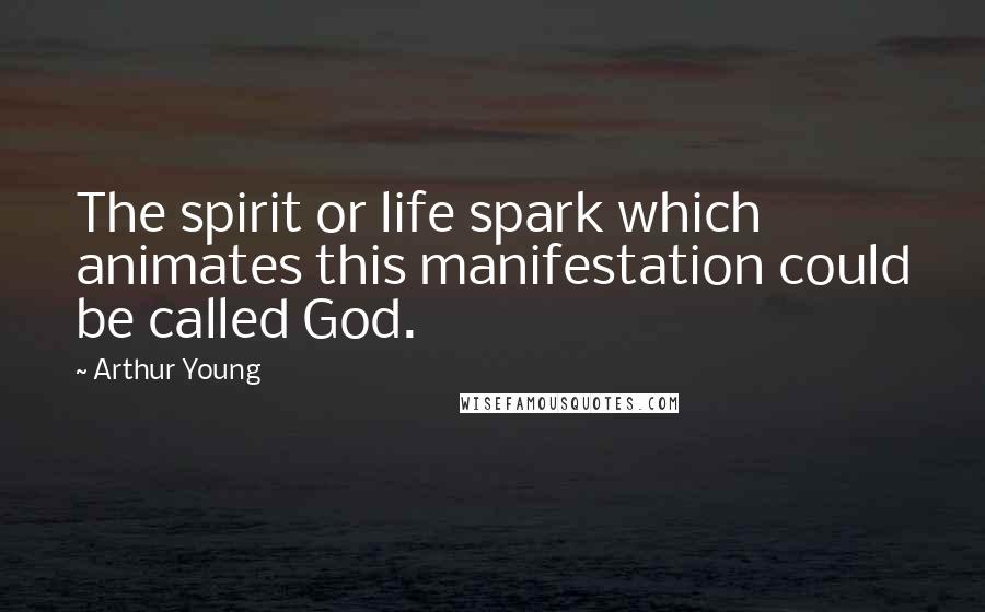 Arthur Young Quotes: The spirit or life spark which animates this manifestation could be called God.