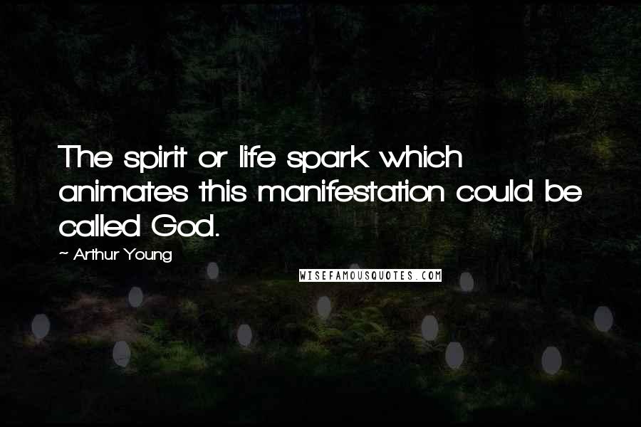 Arthur Young Quotes: The spirit or life spark which animates this manifestation could be called God.