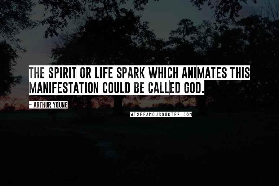 Arthur Young Quotes: The spirit or life spark which animates this manifestation could be called God.