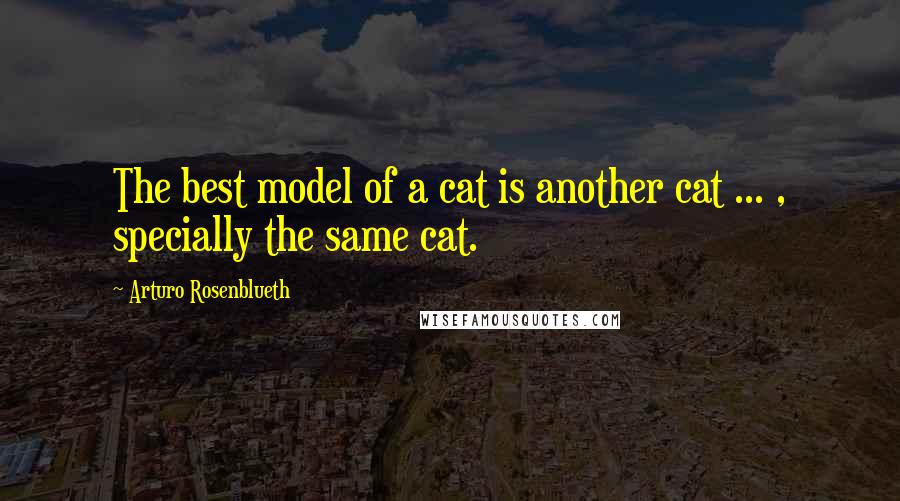 Arturo Rosenblueth Quotes: The best model of a cat is another cat ... , specially the same cat.