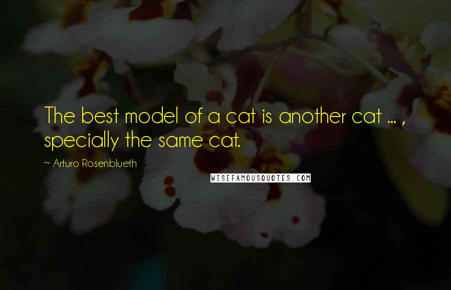 Arturo Rosenblueth Quotes: The best model of a cat is another cat ... , specially the same cat.