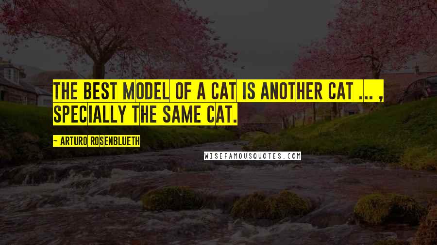 Arturo Rosenblueth Quotes: The best model of a cat is another cat ... , specially the same cat.