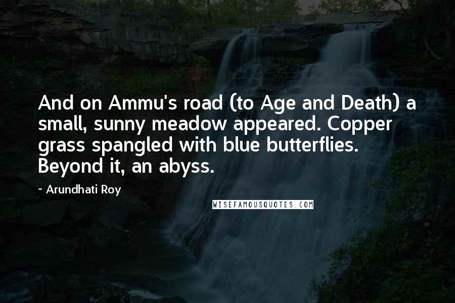 Arundhati Roy Quotes: And on Ammu's road (to Age and Death) a small, sunny meadow appeared. Copper grass spangled with blue butterflies. Beyond it, an abyss.