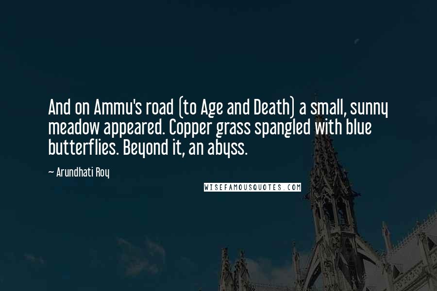 Arundhati Roy Quotes: And on Ammu's road (to Age and Death) a small, sunny meadow appeared. Copper grass spangled with blue butterflies. Beyond it, an abyss.