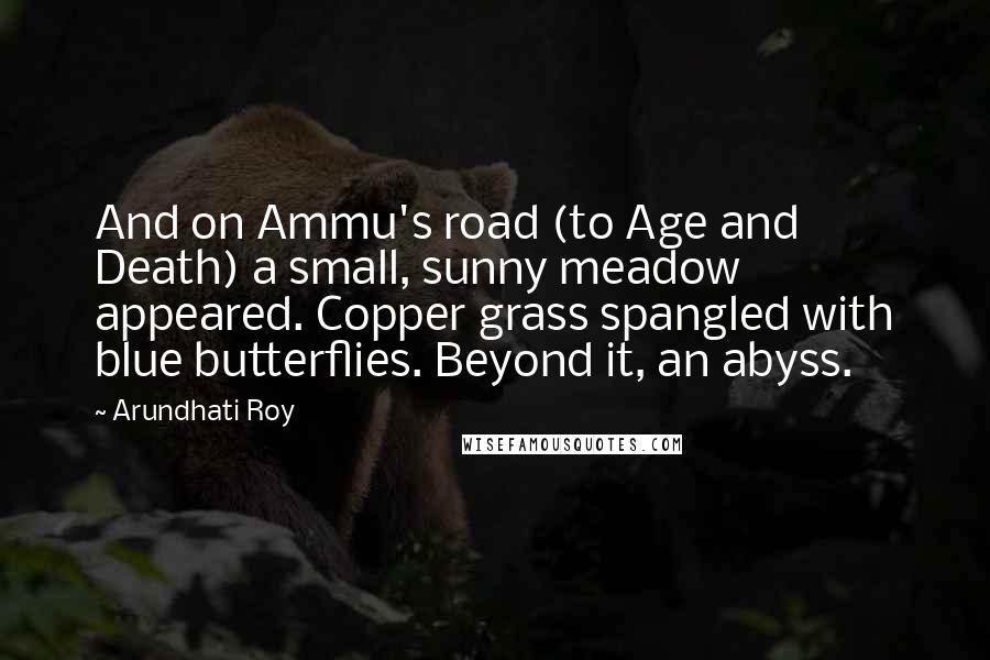Arundhati Roy Quotes: And on Ammu's road (to Age and Death) a small, sunny meadow appeared. Copper grass spangled with blue butterflies. Beyond it, an abyss.