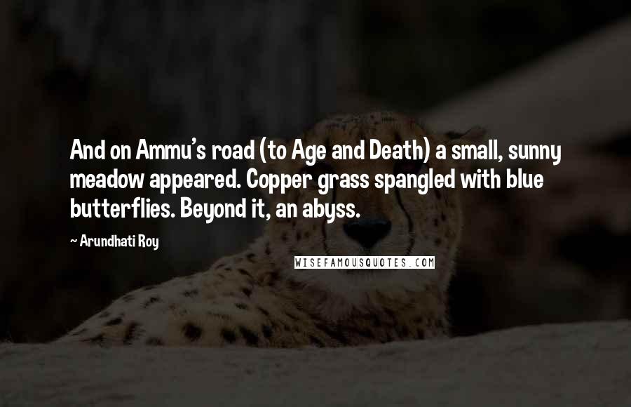 Arundhati Roy Quotes: And on Ammu's road (to Age and Death) a small, sunny meadow appeared. Copper grass spangled with blue butterflies. Beyond it, an abyss.