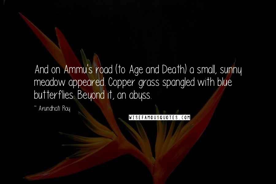 Arundhati Roy Quotes: And on Ammu's road (to Age and Death) a small, sunny meadow appeared. Copper grass spangled with blue butterflies. Beyond it, an abyss.