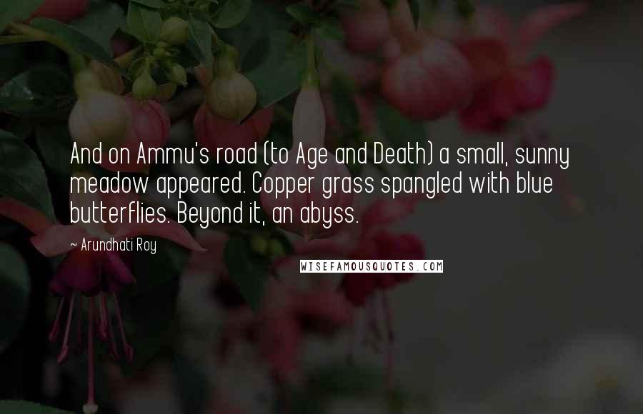 Arundhati Roy Quotes: And on Ammu's road (to Age and Death) a small, sunny meadow appeared. Copper grass spangled with blue butterflies. Beyond it, an abyss.