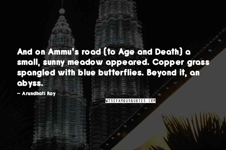 Arundhati Roy Quotes: And on Ammu's road (to Age and Death) a small, sunny meadow appeared. Copper grass spangled with blue butterflies. Beyond it, an abyss.