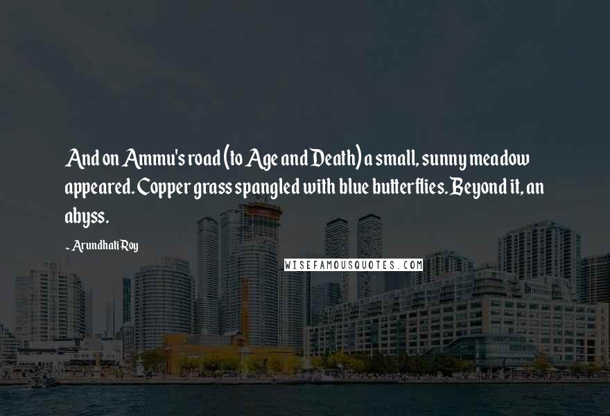 Arundhati Roy Quotes: And on Ammu's road (to Age and Death) a small, sunny meadow appeared. Copper grass spangled with blue butterflies. Beyond it, an abyss.