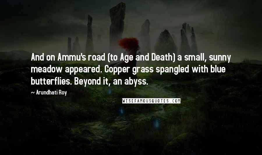 Arundhati Roy Quotes: And on Ammu's road (to Age and Death) a small, sunny meadow appeared. Copper grass spangled with blue butterflies. Beyond it, an abyss.