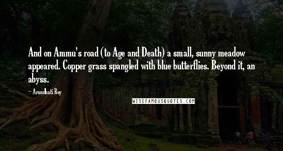 Arundhati Roy Quotes: And on Ammu's road (to Age and Death) a small, sunny meadow appeared. Copper grass spangled with blue butterflies. Beyond it, an abyss.